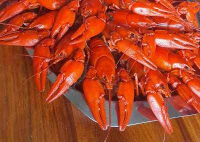 Sunnyhill Farm in Pello - Crayfish on a plate